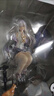 魔女之旅手辦灰之魔女可愛公仔模型二次元擺件動漫周邊 gk場景版伊蕾娜[26cm] 曬單實(shí)拍圖