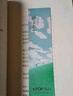 長(zhǎng)青藤國(guó)際大獎(jiǎng)小說(shuō)十歲那年（紐伯瑞兒童文學(xué)銀獎(jiǎng)）成長(zhǎng)蛻變、適應(yīng)新環(huán)境等主題小學(xué)三四五六年級(jí)必讀課外閱讀小學(xué)生課外書暑假作業(yè) 一升二暑假銜接 小升初暑假銜接 曬單實(shí)拍圖