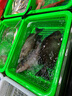 嘉實(shí)多（Castrol）機(jī)油保養(yǎng)雙次卡 嘉實(shí)多智E極護(hù)全合成 機(jī)油機(jī)濾工時(shí) 5W-30 SP 4L 曬單實(shí)拍圖