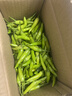 辰實【現(xiàn)貨】新鮮白米椒 野山椒 小米辣椒 現(xiàn)摘泡剁椒 3斤 曬單實拍圖