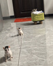杜邦衛(wèi)可杜邦衛(wèi)可消毒液毒環(huán)境犬瘟細(xì)小病毒室內(nèi)杜邦衛(wèi)可1盒 曬單實(shí)拍圖