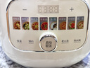 九陽電燉鍋5L【國家補貼】隔水燉盅鍋家用5-8人 紫砂鍋電砂鍋煲湯鍋全自動陶瓷電燉鍋電燉盅燉湯熬粥 【30分鐘快燉湯】GD508 5L 曬單實拍圖