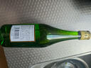 竹葉青酒 露酒 玻竹 45度 475mL*12 整箱 山西杏花村汾酒 曬單實拍圖