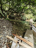 Aoran黑膠天幕戶外露營遮陽野餐防雨防曬公園蝶形加厚大空間野營涼棚 26㎡【奶油咖-黑膠防曬】4-18人 曬單實拍圖