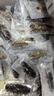 遼參大連有機(jī)冷凍海參1斤10-12只非即食京東自營旗艦店獨(dú)立包裝正品 曬單實(shí)拍圖