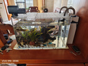 YEE魚(yú)缸金晶超白玻璃水族箱小型桌面客廳40金魚(yú)缸裸缸熱彎魚(yú)缸自循環(huán) 金晶超白熱彎缸 40*24*25cm 曬單實(shí)拍圖
