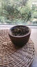 茶渣缸帶過(guò)濾紫陶壺承干泡臺(tái)壺墊紫陶蓄水干泡盤紫陶壺養(yǎng)壺臺(tái) 紫 紫陶茶渣缸承600ML 標(biāo)準(zhǔn) 曬單實(shí)拍圖