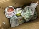 四川攀枝花凱特芒果特大果當季現(xiàn)摘新鮮大青皮芒果熱帶水果 9斤帶箱凈重8.5斤 單果300g起 曬單實拍圖
