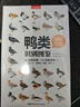 鴨類識(shí)別圖鑒（觀鳥人的“鴨寶書”，54種鴨類的“全羽衣”圖鑒（覆蓋各個(gè)年齡、性別）！1500余幅手繪&照片，科學(xué)的鳥種認(rèn)知，實(shí)用的設(shè)計(jì)編排，一書助你從容觀鴨?。?曬單實(shí)拍圖