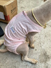 MIKI PAD狗狗衣服春夏季薄款包護(hù)肚衣絕育服術(shù)后防舔貓咪衣服透氣防掉毛 背心護(hù)肚衣-粉色#可做絕育服 XL 胸圍50背長(zhǎng)39（建議11-17斤） 曬單實(shí)拍圖