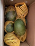 京覓四川攀枝花凱特芒 芒果凈重4.5-5斤單果400g起 新鮮水果源頭直發(fā) 曬單實拍圖