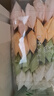 嫚熙（EMXEE）一次性內(nèi)褲5A抑菌級女士純棉大碼日拋出差旅行免洗內(nèi)褲32條 XXL碼 曬單實拍圖