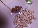 鮑魚干干貨佛跳墻滋補(bǔ)野生食材煲粥煲湯淡曬干小鮑魚 中號10個 曬單實(shí)拍圖