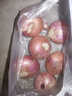 新生紫皮洋蔥生吃脆甜應(yīng)季新下鮮紅洋蔥蔬菜超市新款 洋蔥凈重4500g 9斤 單果≥150g 曬單實(shí)拍圖