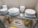 墨尊景德鎮高溫釉下彩碗具套裝家用新中式高白瓷碗盤(pán)餐具整套喬遷送禮 花影雅韻【皮箱包裝】釉下彩 68頭 曬單實(shí)拍圖