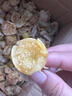 式果禮東北姑娘果【順豐速發(fā)】菇?jīng)龉S菇娘燈籠果姑鳥小金豆新鮮水果 9斤 精選果【單果7-9g】 曬單實(shí)拍圖