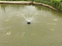 人民魚(yú)塘增氧機220V魚(yú)塘充氧泵全自動(dòng)大功率增氧泵家用抽水排灌浮水泵 750W不銹鋼款15米線(xiàn) 適用0.6畝 曬單實(shí)拍圖