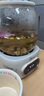 美的（Midea）全玻璃養(yǎng)生壺 辦公室燒水壺 家用多功能煮茶壺 花茶煮茶器 迷你小型電熱水壺 圍爐煮茶壺 【0膠水】YS10B101 1L 曬單實(shí)拍圖