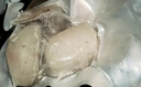 一級(jí) 特大深海鱈魚中段 原切去刺寶寶輔食非銀鱈魚塊 冷凍鱈魚排 鱈魚段 2kg 曬單實(shí)拍圖