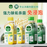 滴露（Dettol）洗衣機(jī)清洗劑金裝版250ml檸檬*2+松木*2洗衣機(jī)深度清潔劑除垢殺菌 曬單實(shí)拍圖