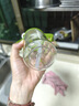 愛得利（evorie）兒童吸管水杯 嬰兒學(xué)飲杯寶寶喝水杯防漏吸管杯帶手柄水壺300ml 曬單實拍圖