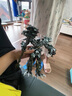 鋼索變形恐龍金剛擎天手辦柱機(jī)器人模型玩具男孩兒童節(jié)生日禮物 鋼索恐龍26cm 曬單實(shí)拍圖