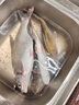 光威（GW）光威（GW） 光威速龍投二代海釣竿超硬調(diào)釣魚桿拋投魚竿海竿 3.6m 曬單實拍圖