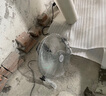 皓彩（haoluck） 工業(yè)風扇趴地扇家用強力電風扇落地扇大功率工廠車間工地商用臺式坐地爬地扇大風風扇落地電風扇 銀色14寸四檔風力 加厚鋁葉  2.5米電源線 曬單實拍圖