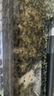 春盛熙黑色筆考試辦公中性筆磨砂碳素筆0.5頭商務(wù)簽字筆學(xué)生文具 黑頭1支裝 針管頭 曬單實(shí)拍圖