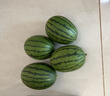 【順豐】北京大興龐各莊小西瓜L600 冰糖牛奶西瓜時(shí)令新鮮水果 4粒裝 11-12斤人工精選 曬單實(shí)拍圖