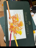 輝柏嘉（Faber-castell）彩鉛60色油性彩鉛 彩色鉛筆 畫筆套裝 繪畫套裝 大師專業(yè)級彩鉛 輝煌禮盒 山海經(jīng)IP兒童禮物 曬單實拍圖