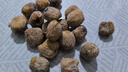 好吃點(diǎn)山西特產(chǎn)蜜棗金絲干蜜棗煲湯泡茶煮粥甜點(diǎn)小零食大個(gè)原粒包粽子 無(wú)核干蜜棗200g3-5g試吃裝 曬單實(shí)拍圖