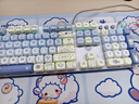 狼蛛F2088機(jī)械鍵盤鼠標(biāo)耳機(jī)三件套裝青茶紅黑軸有線FPS臺(tái)式電腦筆記本電競(jìng)游戲女生專用外設(shè) 【藍(lán)喵喵】單鍵盤_全鍵無沖-贈(zèng)磁吸手托 青軸【清脆段落】 曬單實(shí)拍圖
