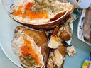 熟凍面包蟹新鮮鮮活特大超大珍寶蟹生凍熟食梭子蟹海鮮水產(chǎn)大螃蟹 600-800g*1只 凈【特大滿膏】 曬單實(shí)拍圖