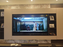 TCL電視 75T7K 75英寸 QD-Mini LED 640分區(qū) XDR 1600nits QLED量子點(diǎn) deepseek AI電視 國家補(bǔ)貼20% 75英寸 曬單實(shí)拍圖