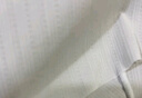 蕉內(nèi)311Cool Air冰絲內(nèi)褲男士7A抗菌透氣無痕防夾臀短褲頭薄款夏季3件 曬單實拍圖