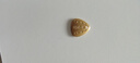 零點(diǎn)金足金9999黃金平安符吊墜禮物520送女友吊牌生日節(jié)日父親節(jié)禮物 平安符2g【實(shí)心*帶證*送繩子】 曬單實(shí)拍圖