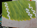 蟲蟲藝術(shù)家（奇想國(guó)原創(chuàng)圖畫書）自然科普與藝術(shù)啟蒙圖畫書博洛尼亞插畫展優(yōu)勝作品獎(jiǎng)得主盧心遠(yuǎn)創(chuàng)意之作 曬單實(shí)拍圖
