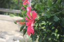 佳能（Canon）EOS600D750D700D760D800D850d學生入門拍照攝像二手單反相機 600D+18-55 【套機】 99新 曬單實拍圖