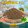 德瑞水族 龜糧小烏龜飼料中華草龜巴西龜鱷龜半水龜幼龜專用糧130g 曬單實(shí)拍圖