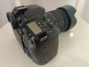 佳能（Canon）EOS 60D 70D 80D 77D 90d 學(xué)生拍照視頻錄像二手單反相機(jī) 80D+18-135 USM套機(jī) 準(zhǔn)新 曬單實拍圖