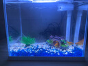 森森（SUNSUN）超白魚(yú)缸一體缸自循環(huán)客廳水族箱桌面家用懶人免換水小型金魚(yú)缸 超白HEJ250標(biāo)配+小橋流水景 曬單實(shí)拍圖