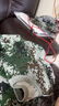 曦雁軍訓(xùn)迷彩純棉T恤套裝初高中大學(xué)生夏季速干透氣短袖軍訓(xùn)服全套 曬單實(shí)拍圖