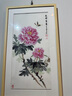 北海印象【北海產(chǎn)地】大魷魚干五星500g海產(chǎn)干貨淡曬干魷魚煲湯轟炸大魷魚 曬單實拍圖