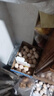 八喜 雪糕 冰淇淋 冰激凌 甜筒組合裝 巧克力口味68g*5支 脆皮甜筒 曬單實拍圖