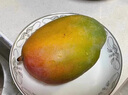 京鮮生 攀枝花凱特芒 凈重8.5斤 帶箱9斤 單果600g+ 生鮮水果 源頭直發(fā) 曬單實(shí)拍圖