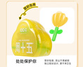 周十五益生菌蜂蜜露孕婦開塞蜜露待產(chǎn)包用產(chǎn)后哺乳期兒童蜂蜜栓禮品10支 曬單實(shí)拍圖