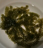 云山半鹽漬海葡萄100g*3即食兒童涼拌菜魚子醬火鍋商家用贈6種蘸料海藻 曬單實拍圖