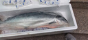 深悅勝冰鮮挪威整條三文魚 一整條三文魚切片刺身大西洋鮭日料海鮮禮盒 【整條】 12斤 （送芥末醬油） 曬單實拍圖