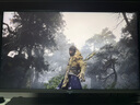 海信27英寸 1152分區(qū)MiniLED 廣色域 FastIPS DC調(diào)光 4K160Hz 顯示器 黑神話:悟空 27G7K Pro 曬單實拍圖
